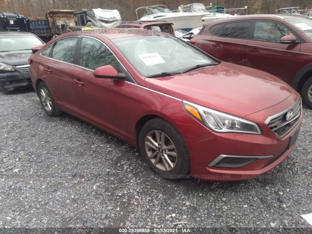 HYUNDAI SONATA 2016 5npe24af5gh384624