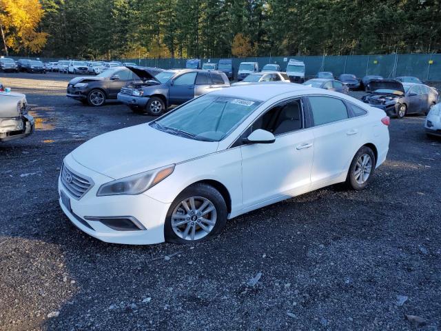 HYUNDAI SONATA 2016 5npe24af5gh388267