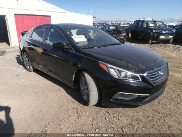 HYUNDAI SONATA 2016 5npe24af5gh396403