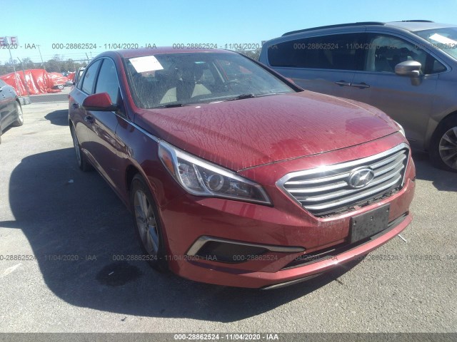 HYUNDAI SONATA 2016 5npe24af5gh399253