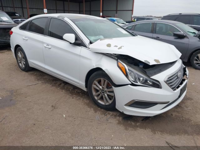 HYUNDAI SONATA 2016 5npe24af5gh399432