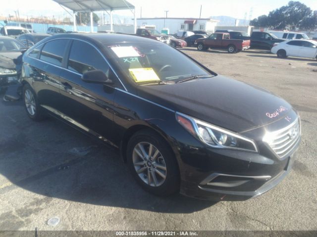 HYUNDAI SONATA 2016 5npe24af5gh400367