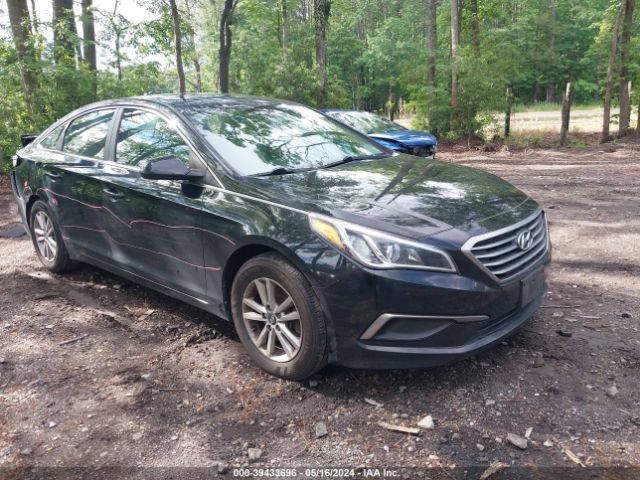 HYUNDAI SONATA 2016 5npe24af5gh406878