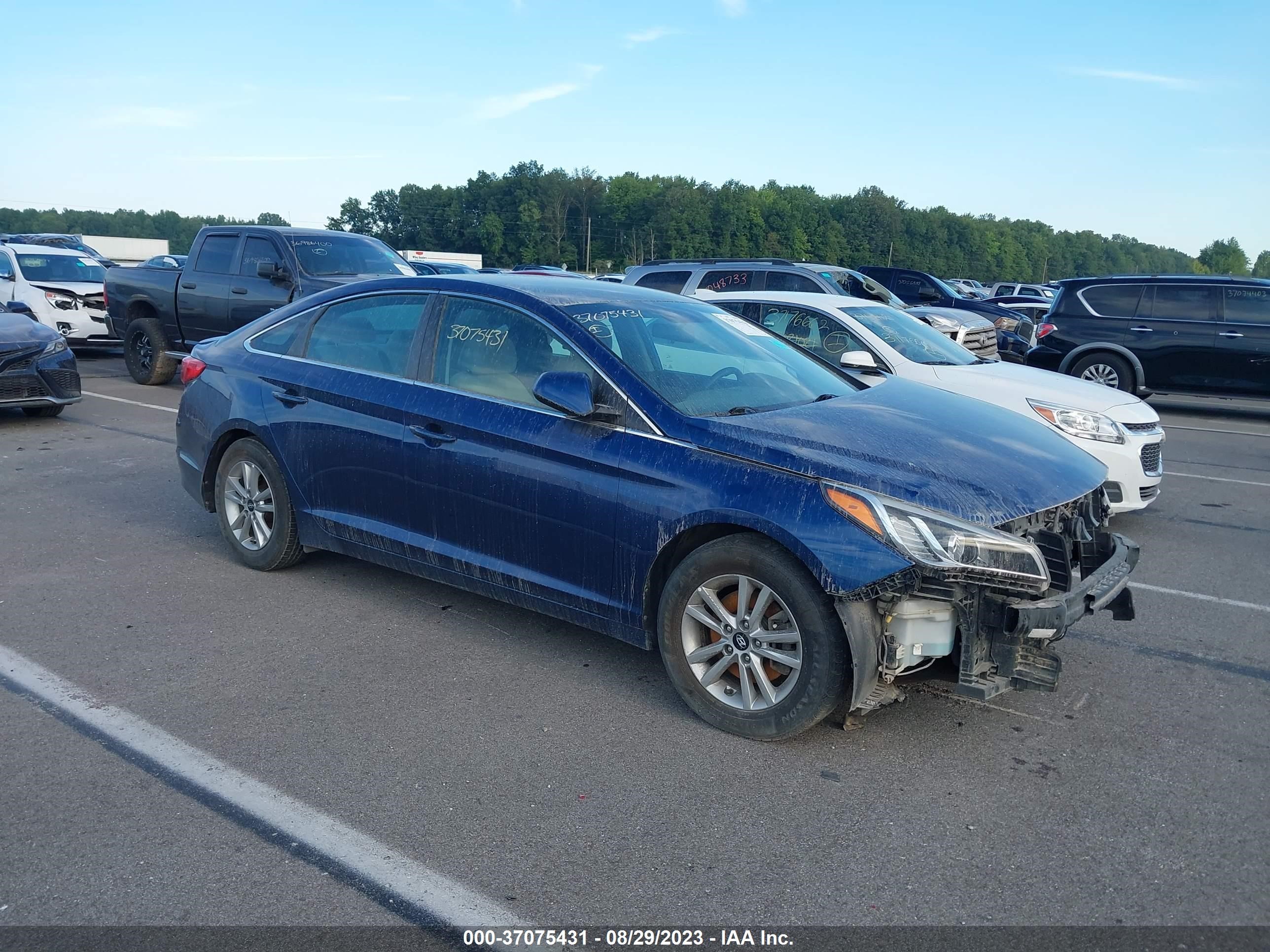 HYUNDAI SONATA 2016 5npe24af5gh407707