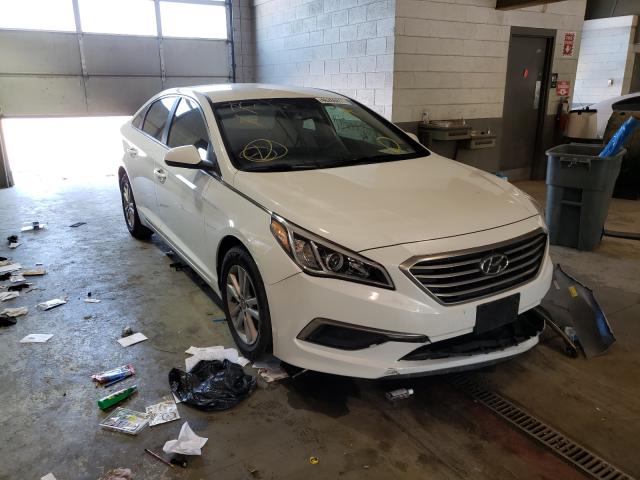 HYUNDAI SONATA SE 2016 5npe24af5gh416312