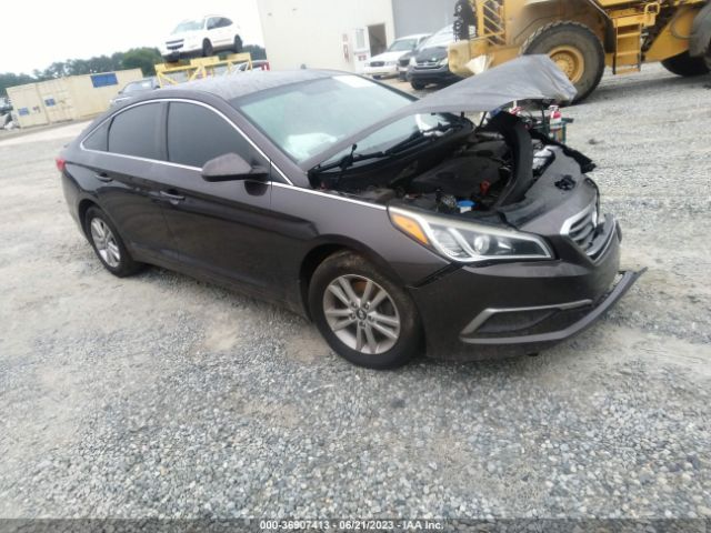 HYUNDAI SONATA 2016 5npe24af5gh428363