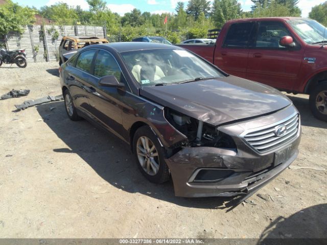 HYUNDAI SONATA 2016 5npe24af5gh433286