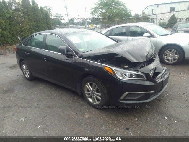 HYUNDAI SONATA 2016 5npe24af5gh434065