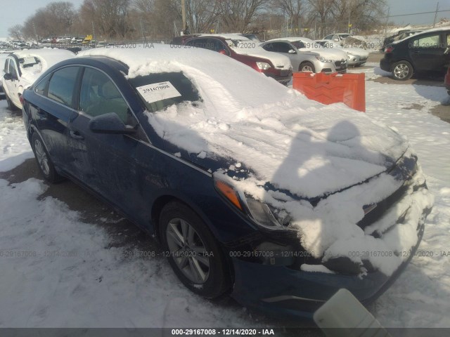 HYUNDAI SONATA 2017 5npe24af5hh445553