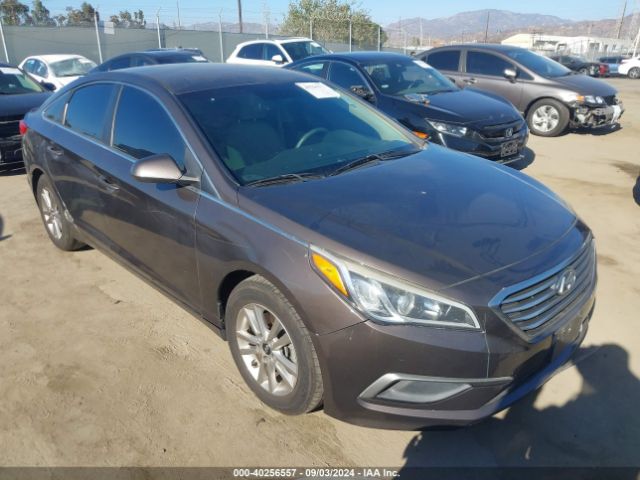 HYUNDAI SONATA 2017 5npe24af5hh455872