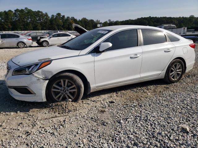 HYUNDAI SONATA 2017 5npe24af5hh462837