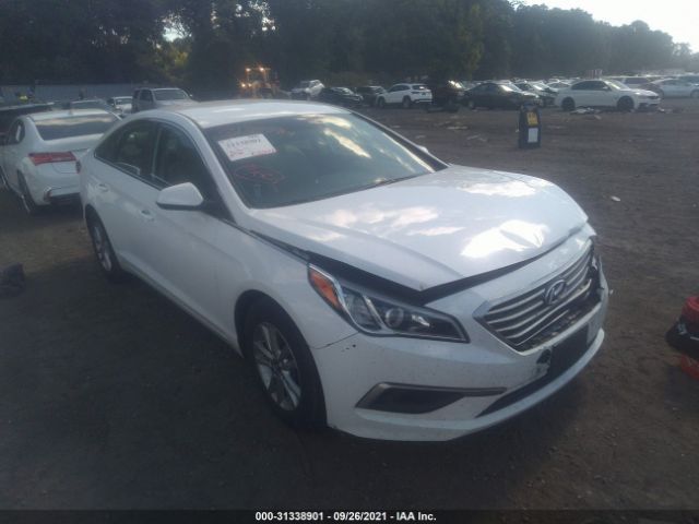 HYUNDAI SONATA 2017 5npe24af5hh472123