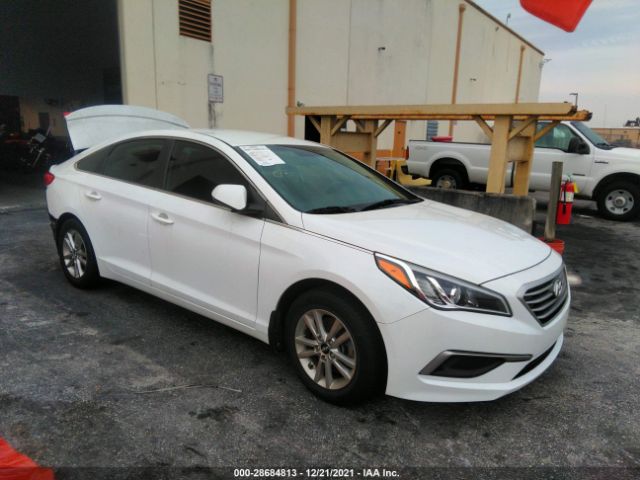 HYUNDAI SONATA 2017 5npe24af5hh479704