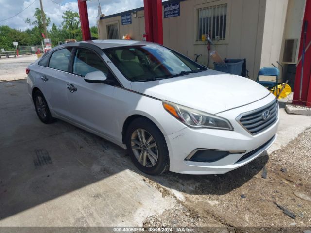 HYUNDAI SONATA 2017 5npe24af5hh490511