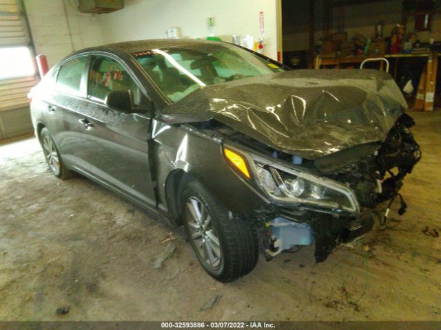 HYUNDAI SONATA 2017 5npe24af5hh492470