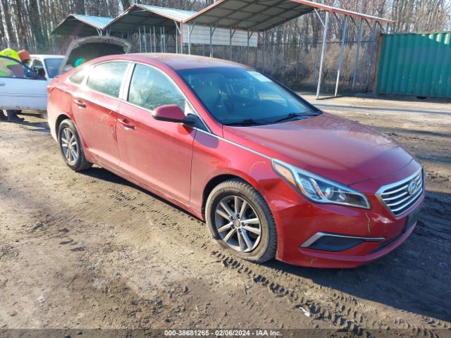 HYUNDAI SONATA 2017 5npe24af5hh493358