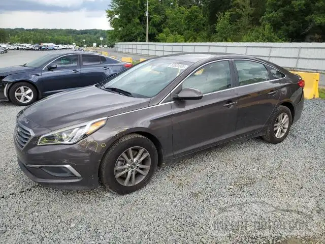 HYUNDAI SONATA 2017 5npe24af5hh500017