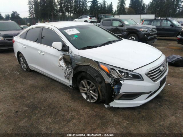 HYUNDAI SONATA 2017 5npe24af5hh500986