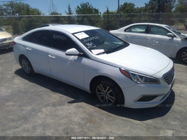 HYUNDAI SONATA 2017 5npe24af5hh502446