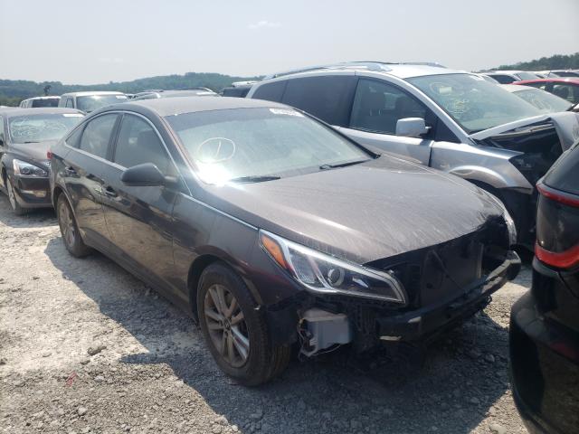 HYUNDAI SONATA 2017 5npe24af5hh504259