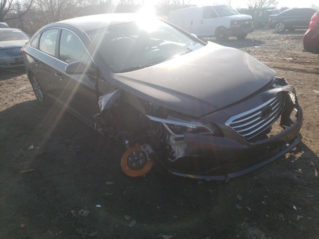 HYUNDAI SONATA SE 2017 5npe24af5hh510336