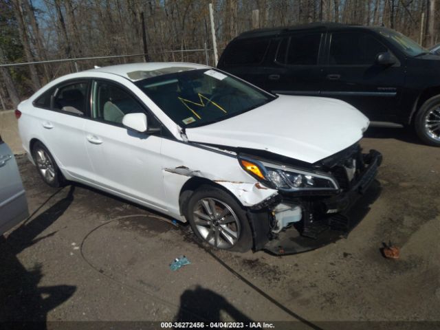 HYUNDAI SONATA 2017 5npe24af5hh516735