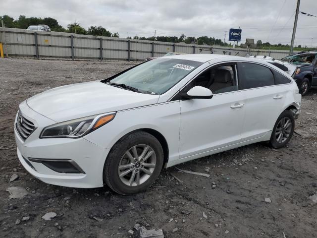 HYUNDAI SONATA 2017 5npe24af5hh518677