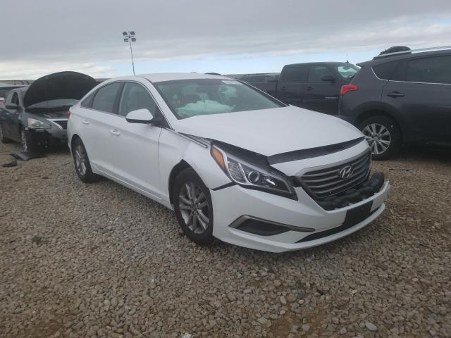 HYUNDAI SONATA SE 2017 5npe24af5hh529226