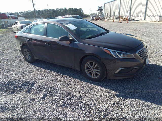 HYUNDAI SONATA 2017 5npe24af5hh529470