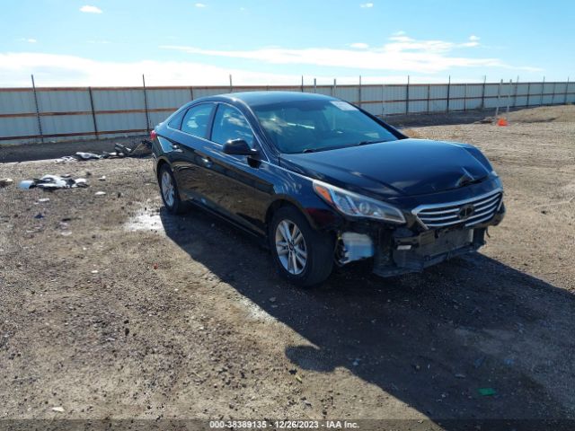 HYUNDAI SONATA 2017 5npe24af5hh533616