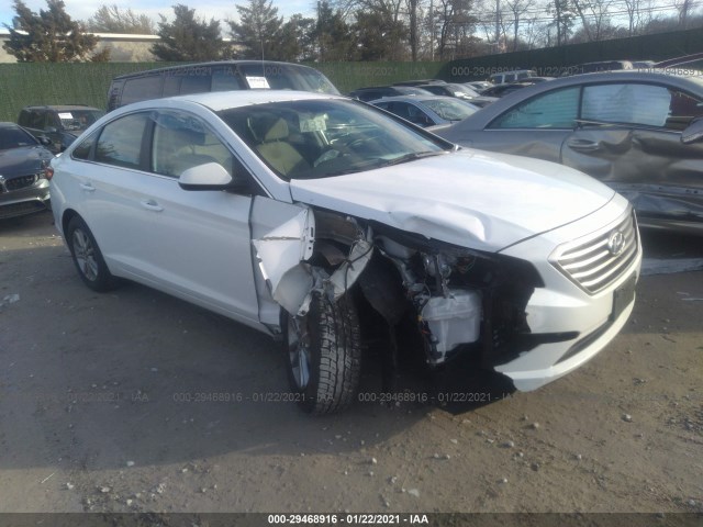 HYUNDAI SONATA 2017 5npe24af5hh552909