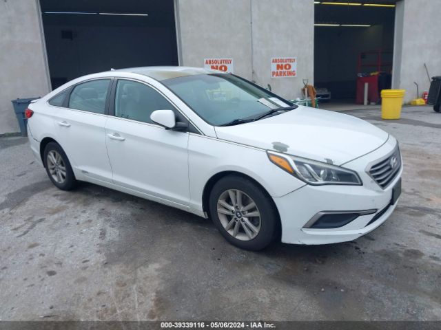 HYUNDAI SONATA 2017 5npe24af5hh565367