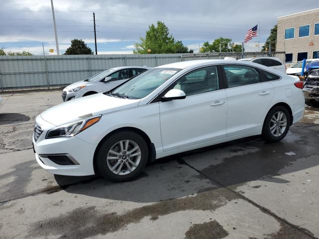 HYUNDAI SONATA 2017 5npe24af5hh575686