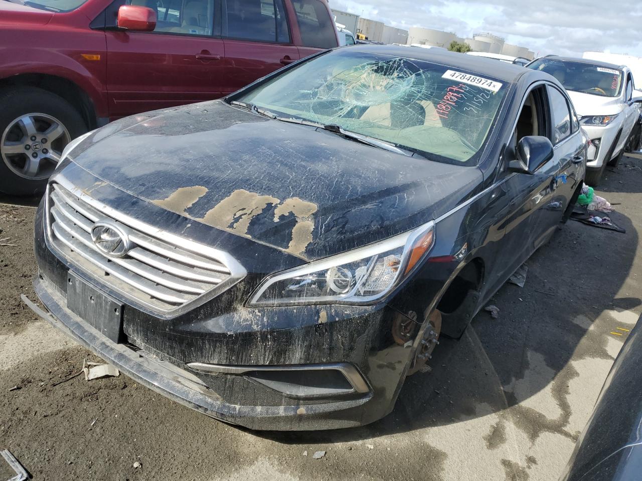 HYUNDAI SONATA 2017 5npe24af5hh594867