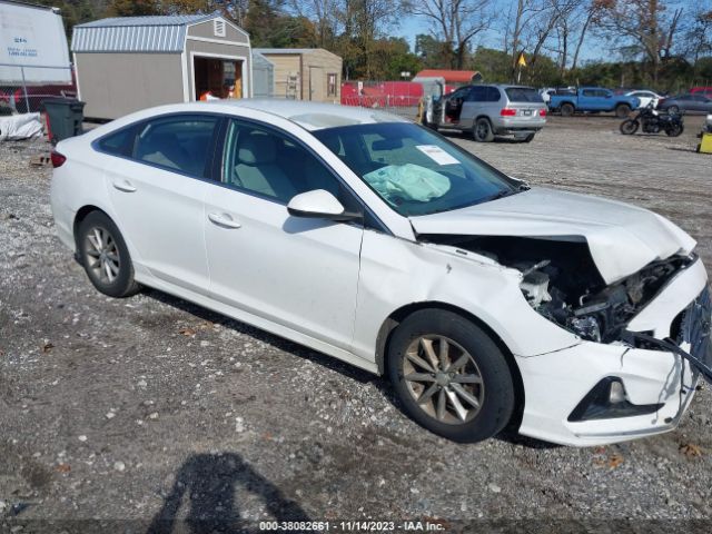 HYUNDAI SONATA 2018 5npe24af5jh631776