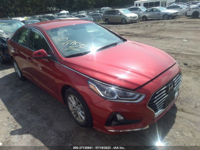 HYUNDAI SONATA 2018 5npe24af5jh637402