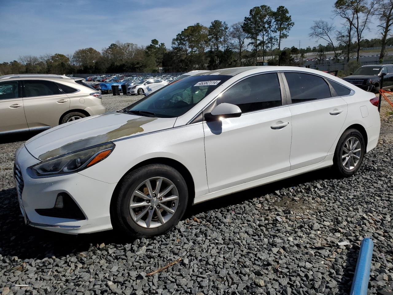 HYUNDAI SONATA 2018 5npe24af5jh638002