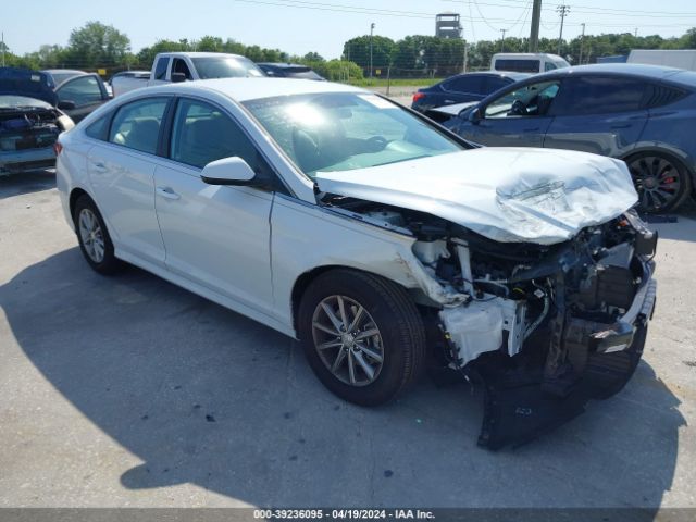 HYUNDAI SONATA 2018 5npe24af5jh644544