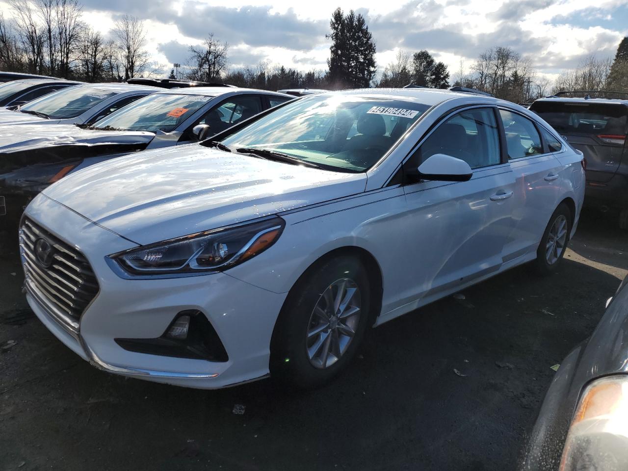 HYUNDAI SONATA 2018 5npe24af5jh667290