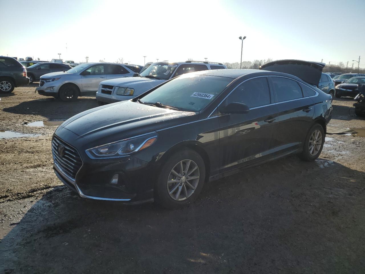 HYUNDAI SONATA 2018 5npe24af5jh702894