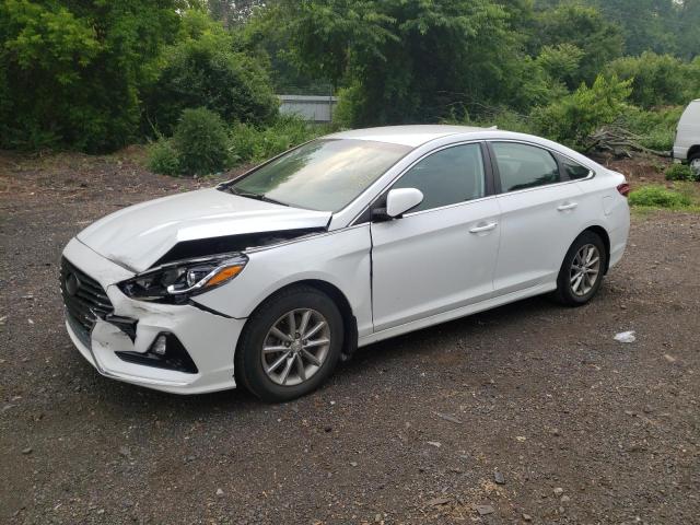 HYUNDAI SONATA SE 2018 5npe24af5jh711188