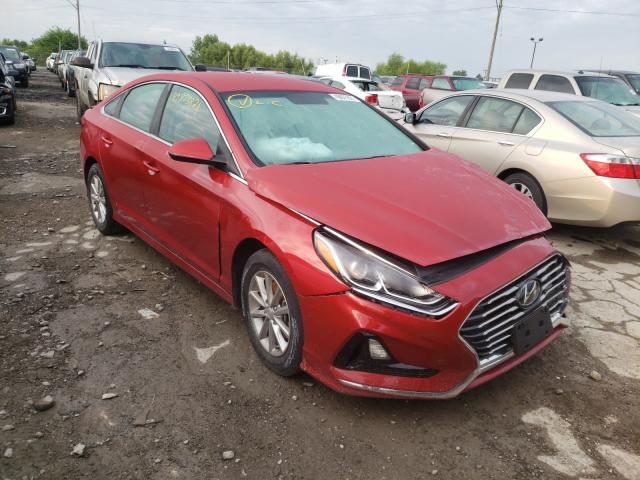 HYUNDAI SONATA SE 2019 5npe24af5kh730342