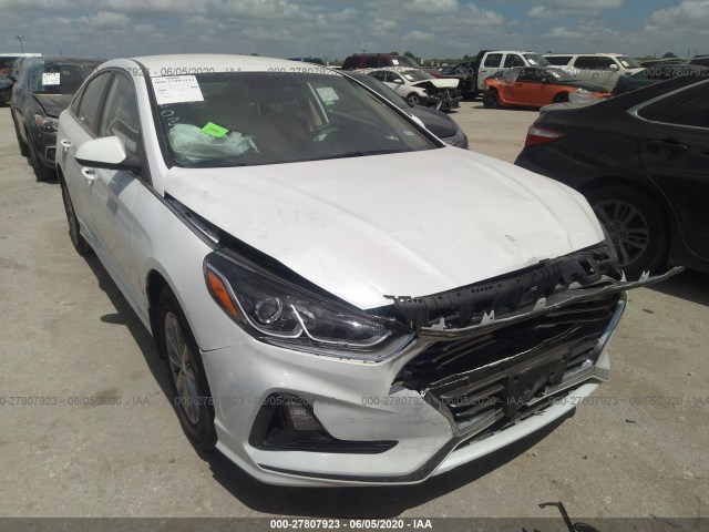 HYUNDAI SONATA 2019 5npe24af5kh730924