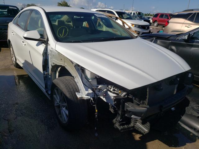 HYUNDAI SONATA SE 2019 5npe24af5kh732785