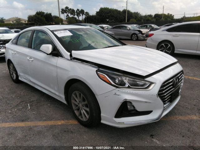 HYUNDAI SONATA 2019 5npe24af5kh733242