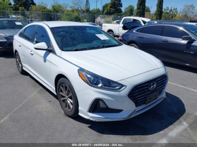 HYUNDAI SONATA 2019 5npe24af5kh735377