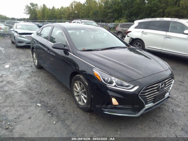 HYUNDAI SONATA 2019 5npe24af5kh735685