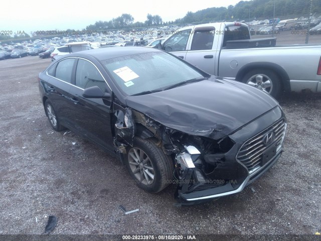 HYUNDAI SONATA 2019 5npe24af5kh736562