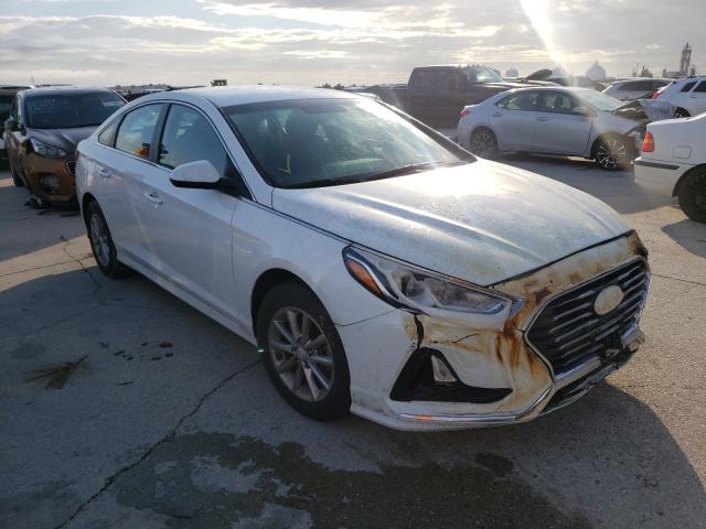 HYUNDAI SONATA SE 2019 5npe24af5kh742183