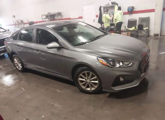 HYUNDAI SONATA 2019 5npe24af5kh747688